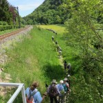 k-IMG_8963