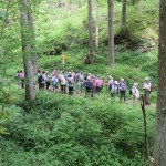 k-IMG_8990
