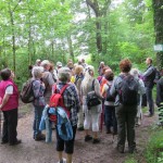 k-IMG_9019