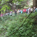 k-IMG_9559