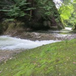 k-IMG_9745