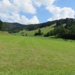 k-IMG_9775