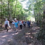 k-IMG_0217
