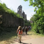 k-IMG_0246