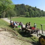 k-IMG_0386