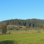 k-Jungbrunnen 016