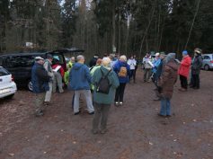 k-img_0035