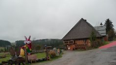 p1010868